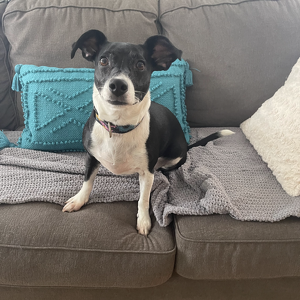 Fundraising Page: Kelsey Strehlau